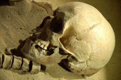 Ученые обнаружили череп древнего человека, жившего 2 млн лет назад
