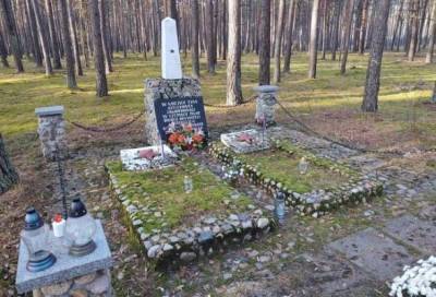 Польские волонтёры отремонтируют неучтённый памятник советским солдатам