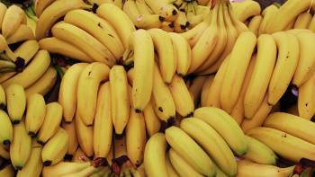 Узбекистан в этом году значительно снизил импорт бананов. Разница с прошлым годом составила $3,5 млн