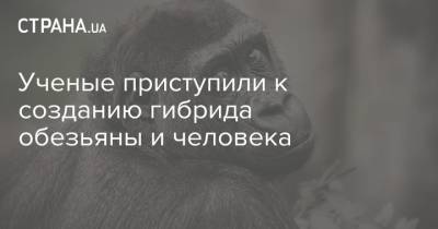 Ученые приступили к созданию гибрида обезьяны и человека
