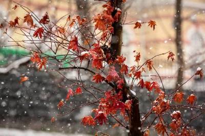 В среду в Ленобласти ожидаются мокрый снег и гололедица