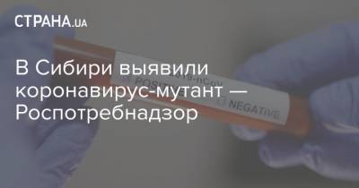 В Сибири выявили коронавирус-мутант — Роспотребнадзор