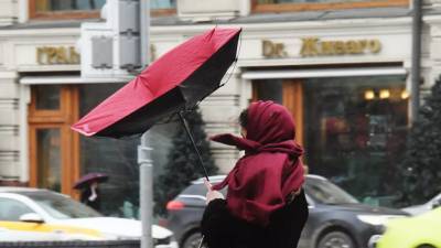 «Жёлтый» уровень погодной опасности объявлен в Москве и области