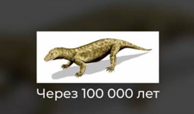 Миллион лет на восстановление: что случилось с Землей сразу после гибели динозавров