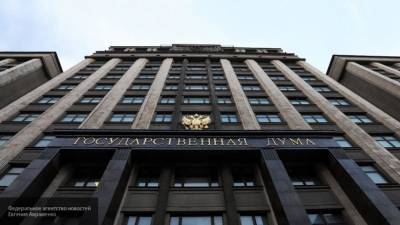 Государственная дума приняла проект о квоте сенатора для экс-президента РФ