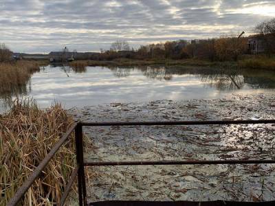 В Челябинске с ЧМК через суд требуют ₽250 млн за загрязнение реки Миасс