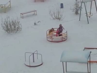 Видео дня: южноуральцы сняли забавный ролик с катающейся на карусели собакой