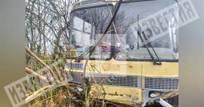 Четверо детей получили травмы в ДТП с автобусом на Ставрополье