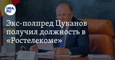 Экс-полпред Цуканов получил должность в «Ростелекоме». Чем он займется