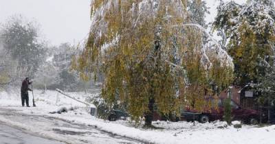 Мороз, снег, местами гололед и туман: прогноз погоды в Украине на среду, 18 ноября