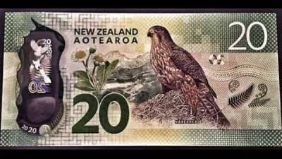 Форекс прогноз и аналитика NZD/USD на 18 ноября 2020