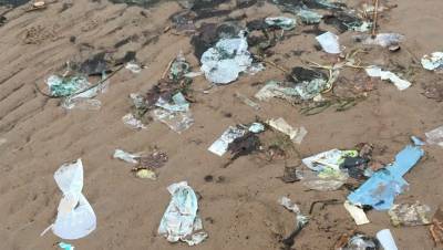 Весь пляж засыпан: жители Сестрорецка предупреждают об экологическом бедствии