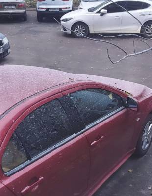 В Киеве выпал первый снег: фото и видео