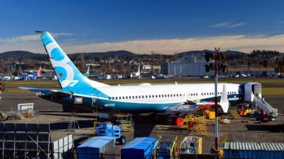 Стали известны причины продажи Boeing-737 через «Авито»