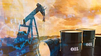 Рынок нефти замер перед встречей ОПЕК