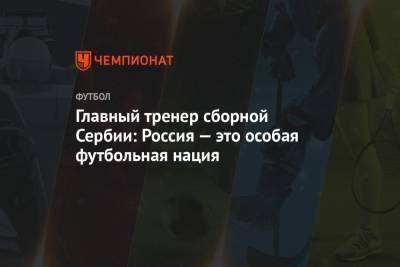 Главный тренер сборной Сербии: Россия — это особая футбольная нация