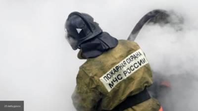 Пожар в Красноярском крае унес жизни одного взрослого и пятерых детей