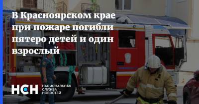 В Красноярском крае при пожаре погибли пятеро детей и один взрослый