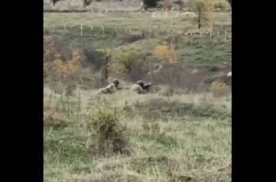 Нагорный Карабах: армянские солдаты атакуют российских миротворцев. ВИДЕО