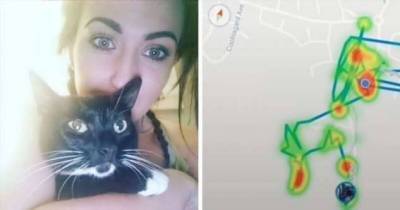 Девушка установила GPS-трекер на свою кошку и раскрыла ее тайные маршруты (5 фото)