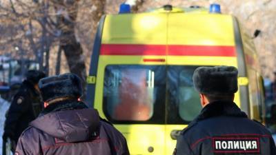 Мать и пятеро детей сгорели в частном доме под Красноярском