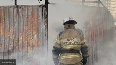 Жертвами пожара под Красноярском стали пятеро детей и взрослый
