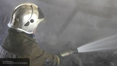 Пожар под Красноярском унес жизни пятерых детей