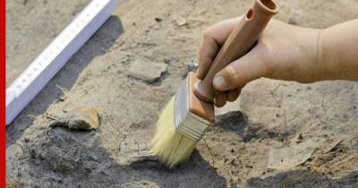 В Бельгии археологи в одном месте нашли сотни следов разных эпох