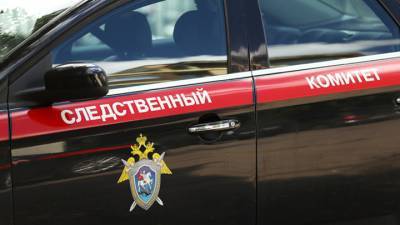 В связи с гибелью двух детей в Москве завели уголовное дело по статье "Убийство"