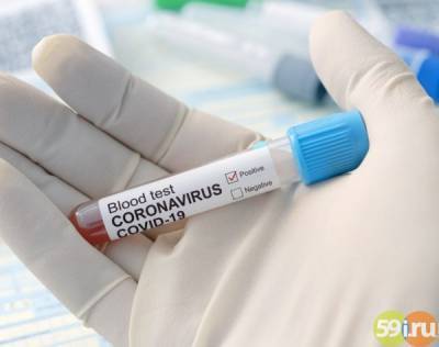 Коронавирус диагностирован почти у 17 тысяч прикамцев