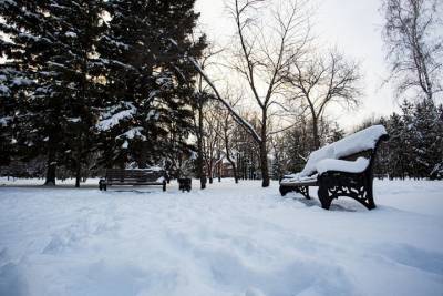 Циклон принес в Новосибирск затяжной снегопад: какая погода будет 18 ноября
