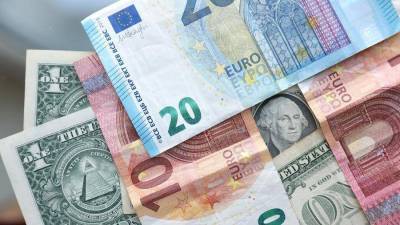 Сдавайте валюту: Минфин занял рекордную сумму в евро