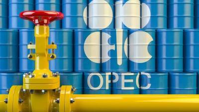 Участники ОПЕК+ отложили принятие решения по уровню добычи нефти в 2021 году до 1 декабря