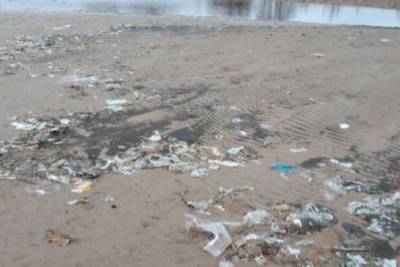 Дубковский пляж в Сестрорецке очистят от гор мусора