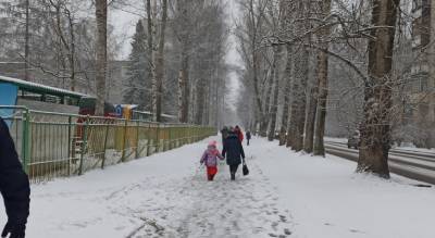 Снега не ждите: аномальную вишневую зиму пообещали синоптики ярославцам