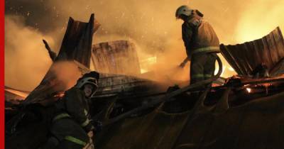 В Красноярском крае на пожаре погибла многодетная семья