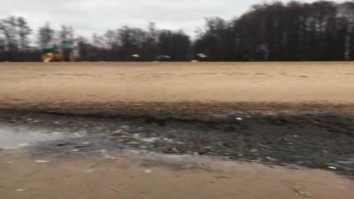 Горы мусора на Дубковском пляже в Сестрорецке уберут в среду