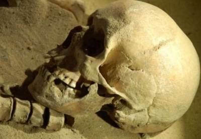 Ученые обнаружили череп древнего человека, жившего 2 млн лет назад
