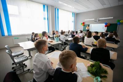 В Петербурге на смешанную форму обучения попросились родители уже 11 тыс. школьников