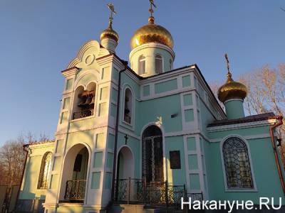 Жириновский призвал закрыть все храмы на время карантина, в РПЦ ответили