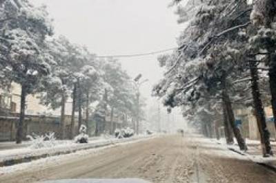Гололед и мокрый снег: синоптики дали прогноз погоды на 18 ноября