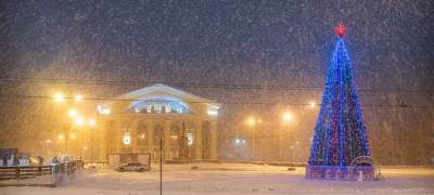 Власти Петрозаводска рассказали, как и где будут продаваться новогодние ёлки