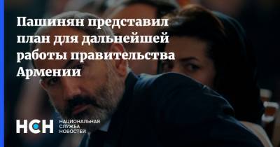 Пашинян представил план для дальнейшей работы правительства Армении