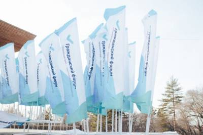 В Хабаровском крае Гражданский форум перенесли на 2021 год