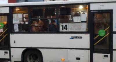 Маршрутки в Петрозаводске ездят переполненными, пока троллейбусы выгоняют пассажиров (ВИДЕО)