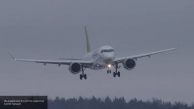 Самолет экстренно приземлился в Москве из-за неисправности закрылок