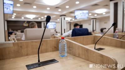 Комиссия по МСУ снова изменила положение об общественной палате, передав ее под контроль думе Екатеринбурга