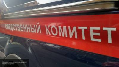 Возбуждено дело против въехавшего в толпу автомобилиста под Калининградом