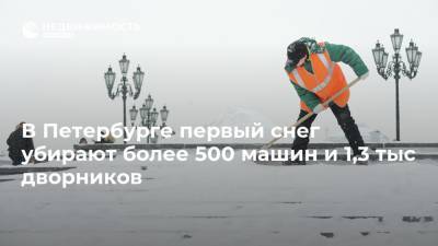 В Петербурге первый снег убирают более 500 машин и 1,3 тыс дворников