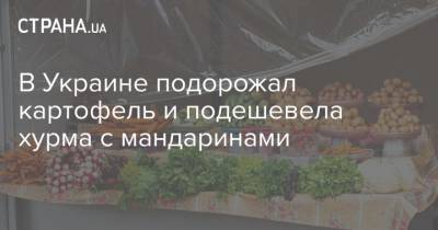 В Украине подорожал картофель и подешевела хурма с мандаринами - strana.ua - Украина